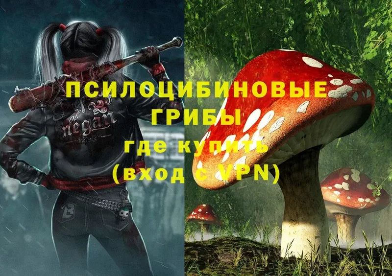 Псилоцибиновые грибы Magic Shrooms  Краснокамск 